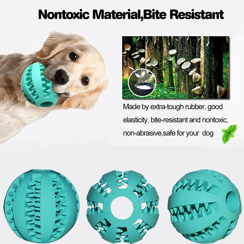 Pet Dog Toy Interactive Rubber Balls for Small Large Dogs Puppy Cat Chewing Toys Pet Tooth Cleaning Indestructible Dog Food Ball