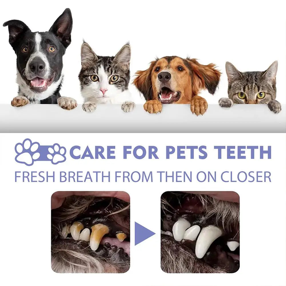 Pet Teeth Cleaning Spray Oral Care Remove Tooth Stains Keep Fresh Breath for Cats and Dogs Whitening Remove bad breath