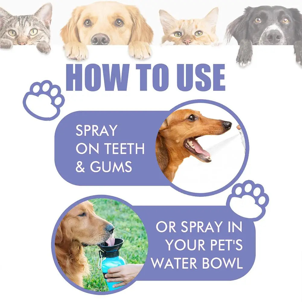 Pet Teeth Cleaning Spray Oral Care Remove Tooth Stains Keep Fresh Breath for Cats and Dogs Whitening Remove bad breath