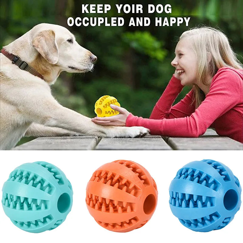 Pet Dog Toy Interactive Rubber Balls for Small Large Dogs Puppy Cat Chewing Toys Pet Tooth Cleaning Indestructible Dog Food Ball