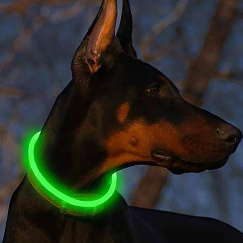 Dog Light Collar Detachable Adjustable Glowing USB Charging Night Luminous Collar Anti-lost Collar LED for Pet Dogs Labrador